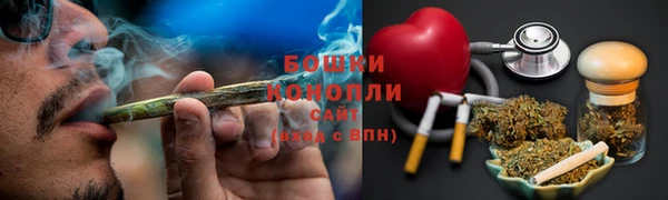 молекула духа Осташков
