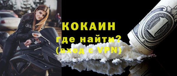 сатива Чердынь