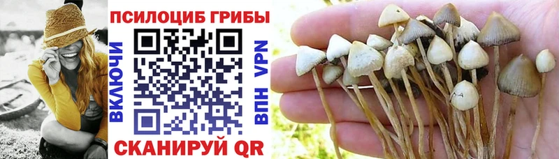 Псилоцибиновые грибы мицелий Бугульма