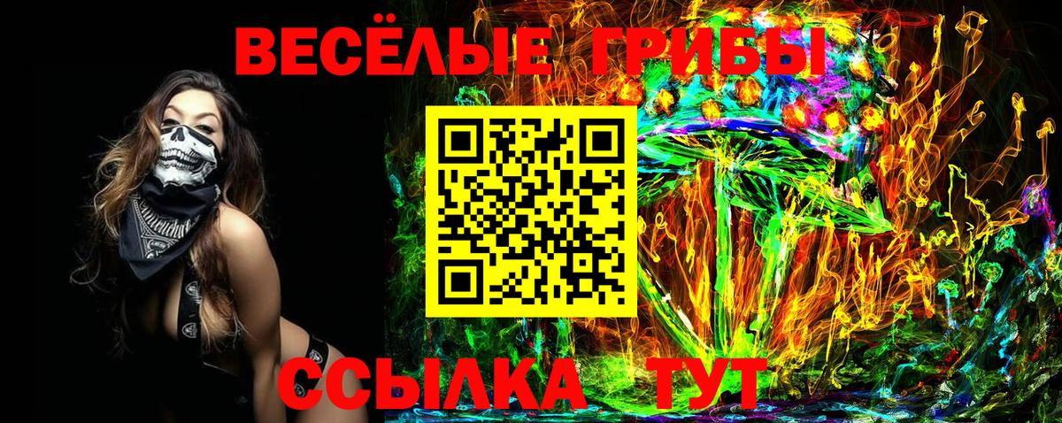 Псилоцибиновые грибы Psilocybine cubensis  Вход с VPN  Бугульма 