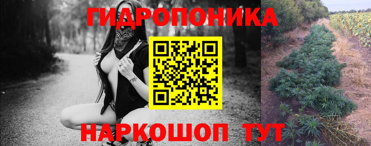 Бугульма  Канабис планчик  Каннабис план  МАРИХУАНА конопля  Вход с VPN 